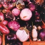 ��ɫ�O(sh��)Ӌ