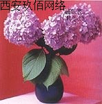 ��O(sh��)Ӌ