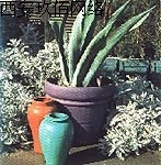 ����ɫ�O(sh��)Ӌ